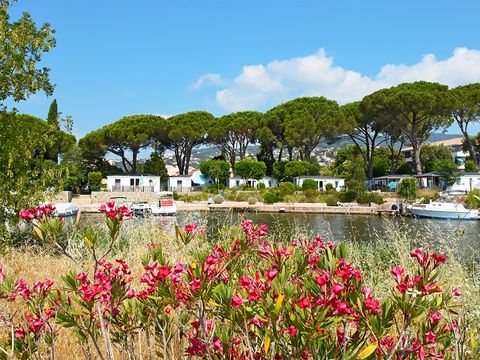 Camping Les Cigales - Camping Alpes-Maritimes - Image N°0